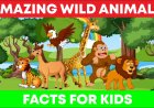 Facts About Animals For Kids