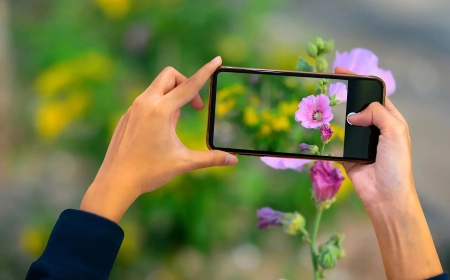 5 apps that take your phone camera from okay to photos you’re proud of