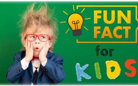 General Knowledge Facts For Kids