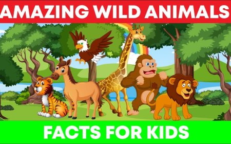 Facts About Animals For Kids