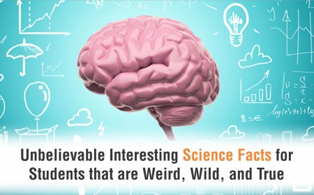 10 Interesting Science Facts That Students and Kids Need to Know