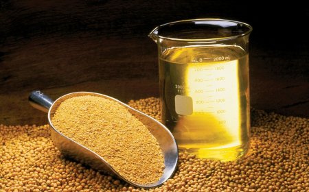 Why Soybean Oil May Be Harming Your Health: Inflammation, Omega-6 Risk & Heating Effects
