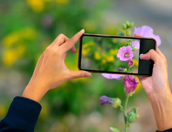 5 apps that take your phone camera from okay to photos you’re proud of