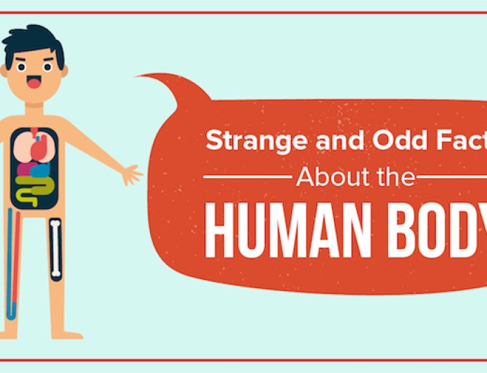 Students Should Know Facts on the Human Body