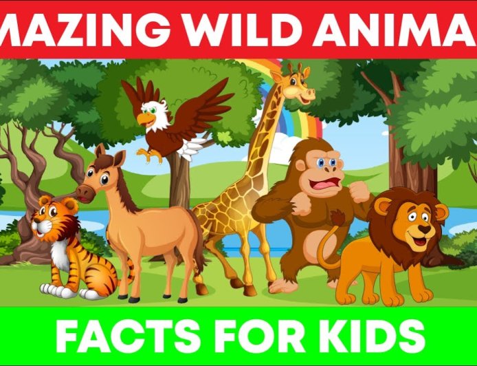 Facts About Animals For Kids