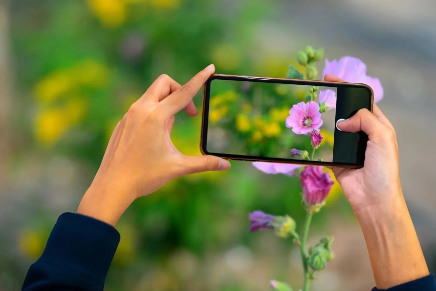 5 apps that take your phone camera from okay to photos you’re proud of