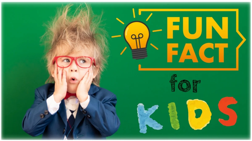 General Knowledge Facts For Kids