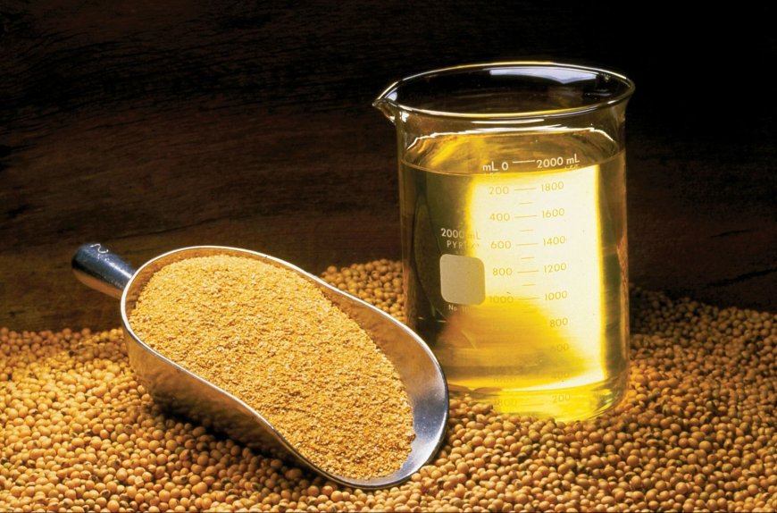 Why Soybean Oil May Be Harming Your Health: Inflammation, Omega-6 Risk & Heating Effects